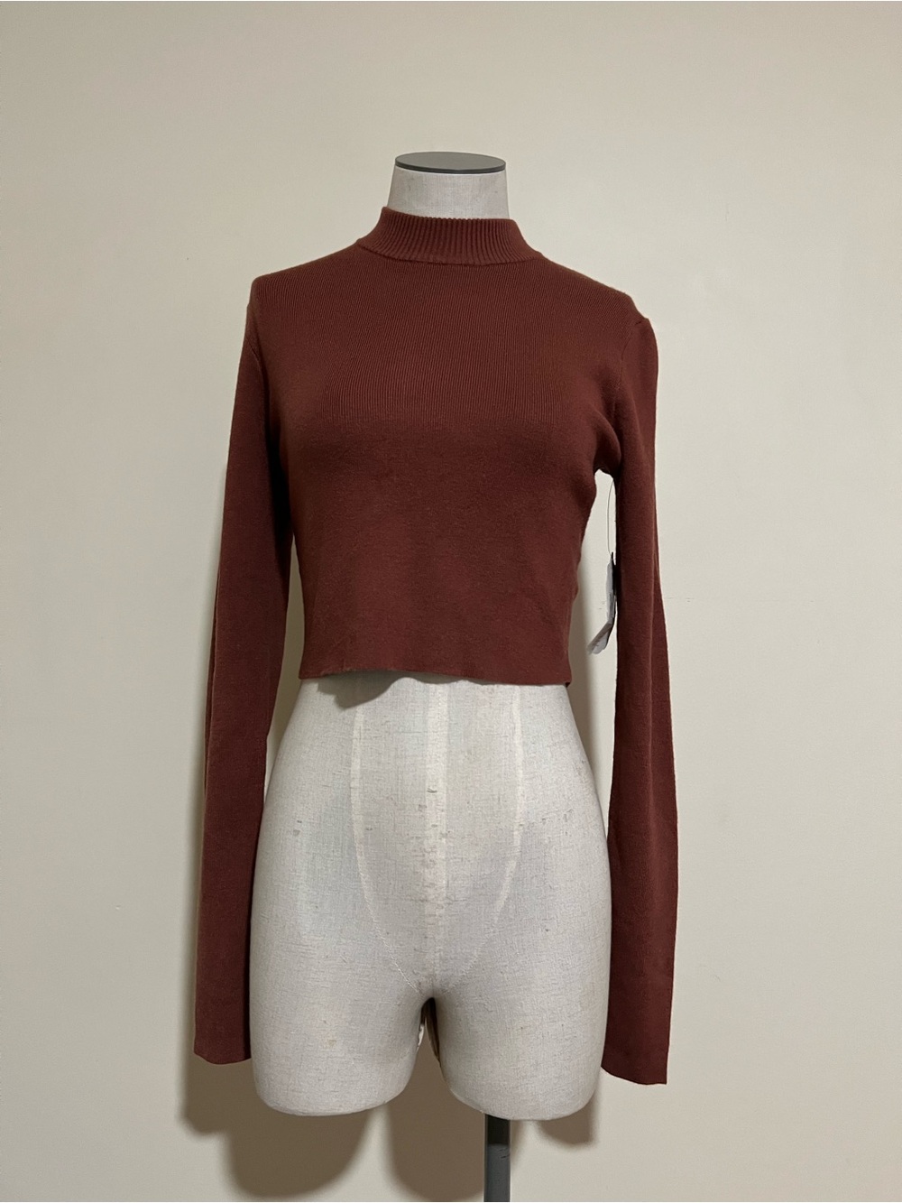 Altar’d State Women's Mock Neck Cropped Sweater - Rust